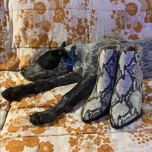 BNWOT Naturalizer SOUL snakeskin embossed booties